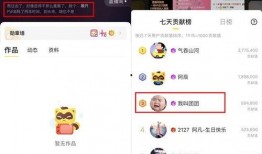 崽崽新闻爆料在哪里看啊,揭秘独家资讯获取途径